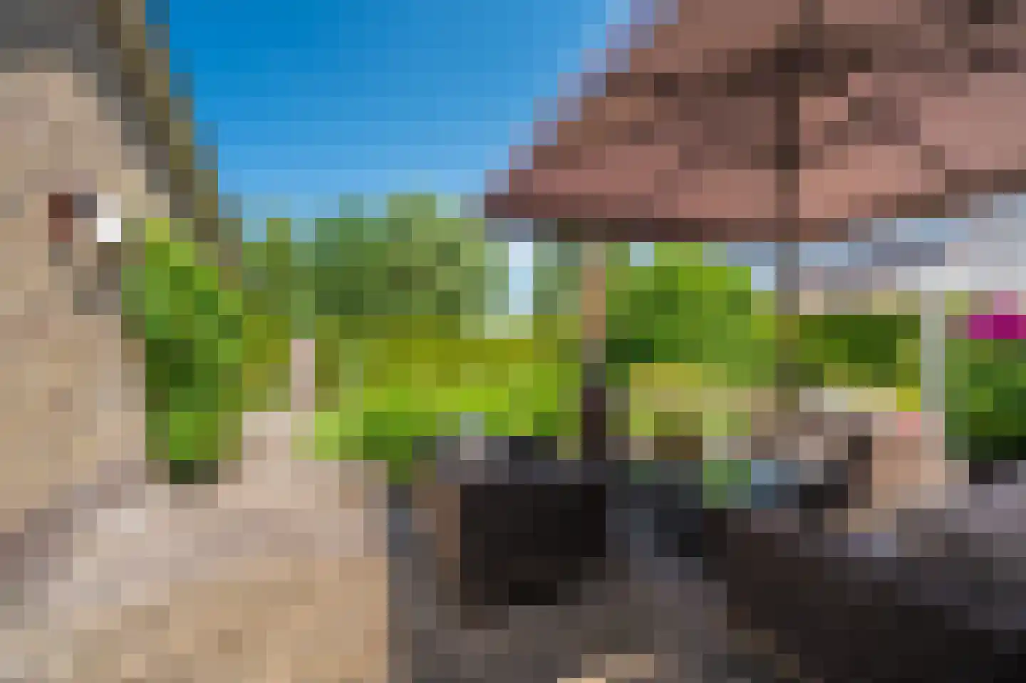 de Vosholen 33 Sappemeer thumbnail 34