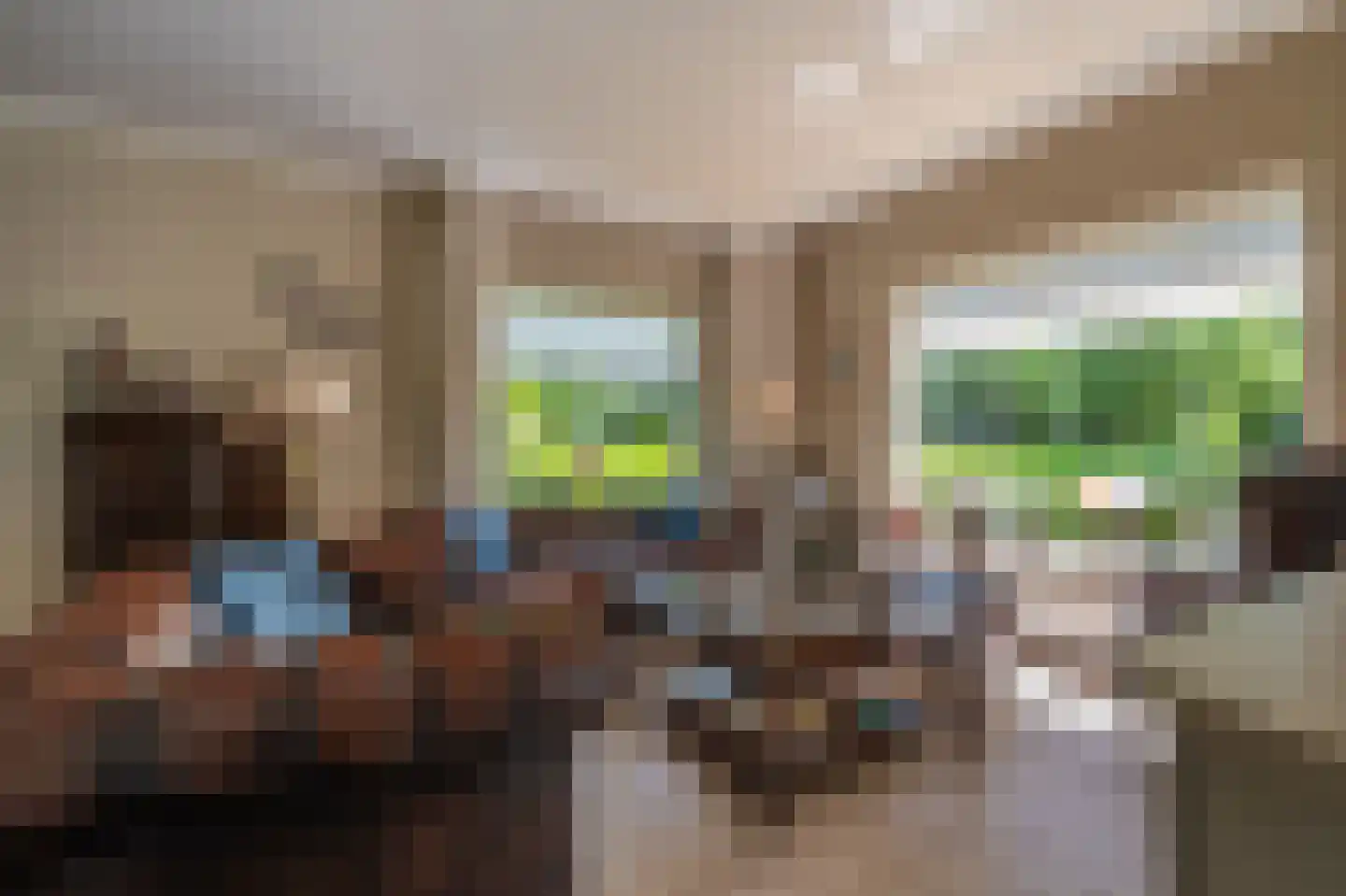 de Vosholen 33 Sappemeer thumbnail 4