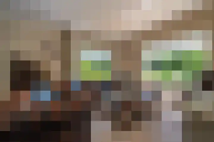 de Vosholen 33 Sappemeer thumbnail 4