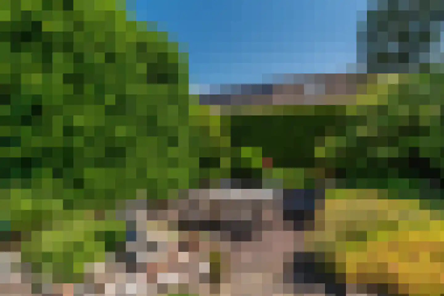 de Vosholen 33 Sappemeer thumbnail 40