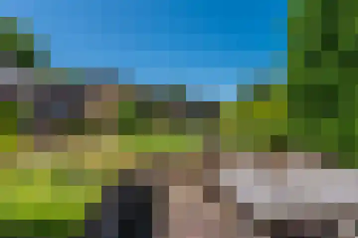 de Vosholen 33 Sappemeer thumbnail 41
