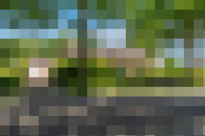 de Vosholen 33 Sappemeer thumbnail 42