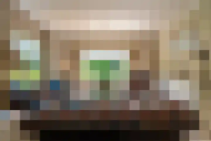 de Vosholen 33 Sappemeer thumbnail 6