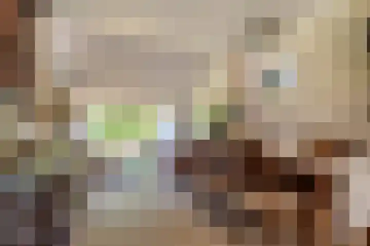 de Vosholen 33 Sappemeer thumbnail 7