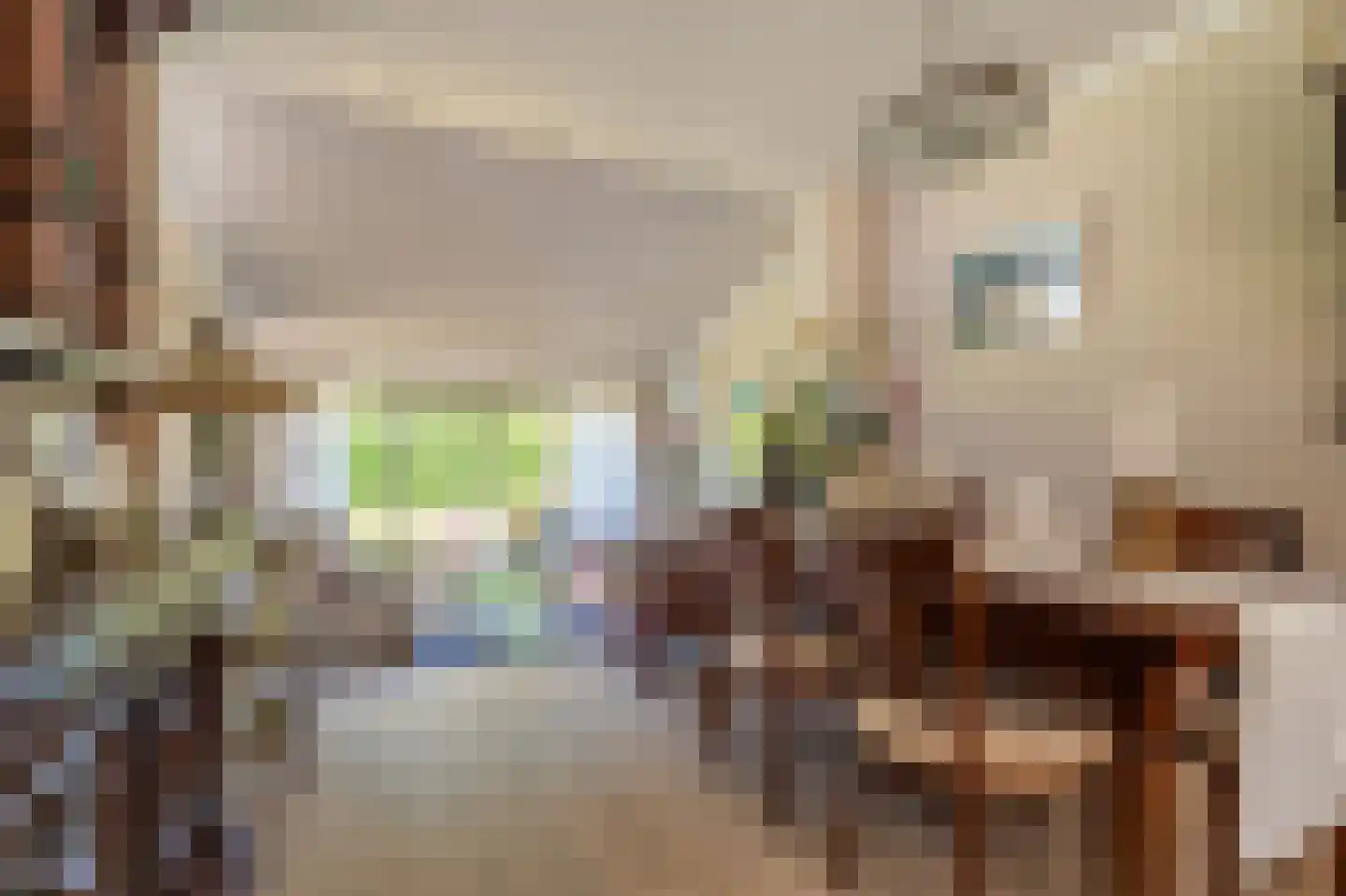 de Vosholen 33 Sappemeer thumbnail 7