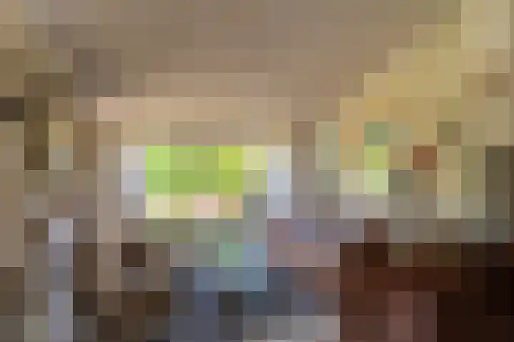 de Vosholen 33 Sappemeer thumbnail 8