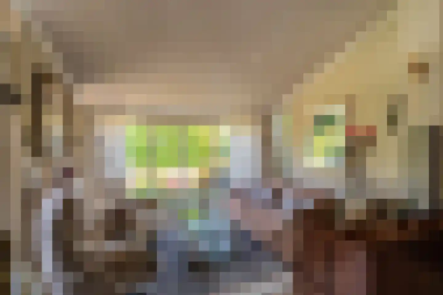 de Vosholen 33 Sappemeer thumbnail 8