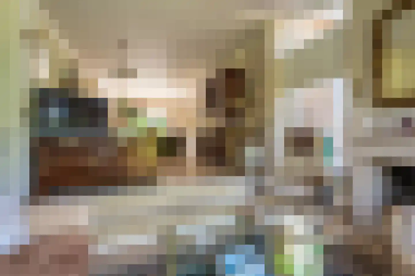 de Vosholen 33 Sappemeer thumbnail 9