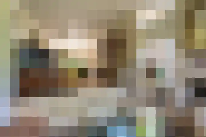 de Vosholen 33 Sappemeer thumbnail 9