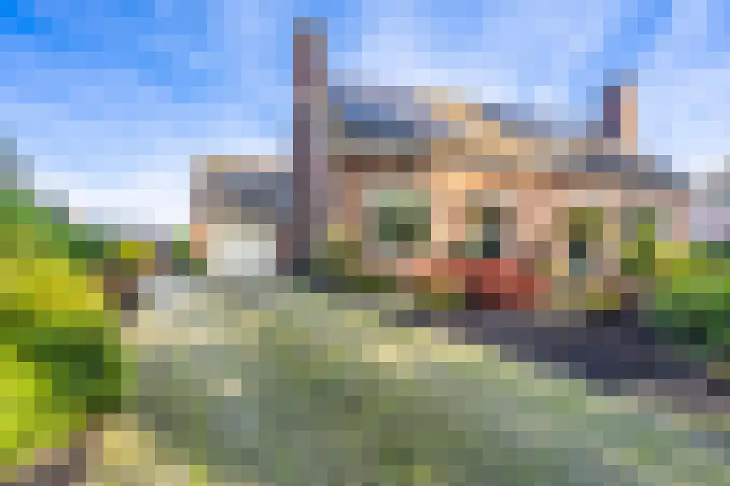 de Vosholen 53 Sappemeer thumbnail 11