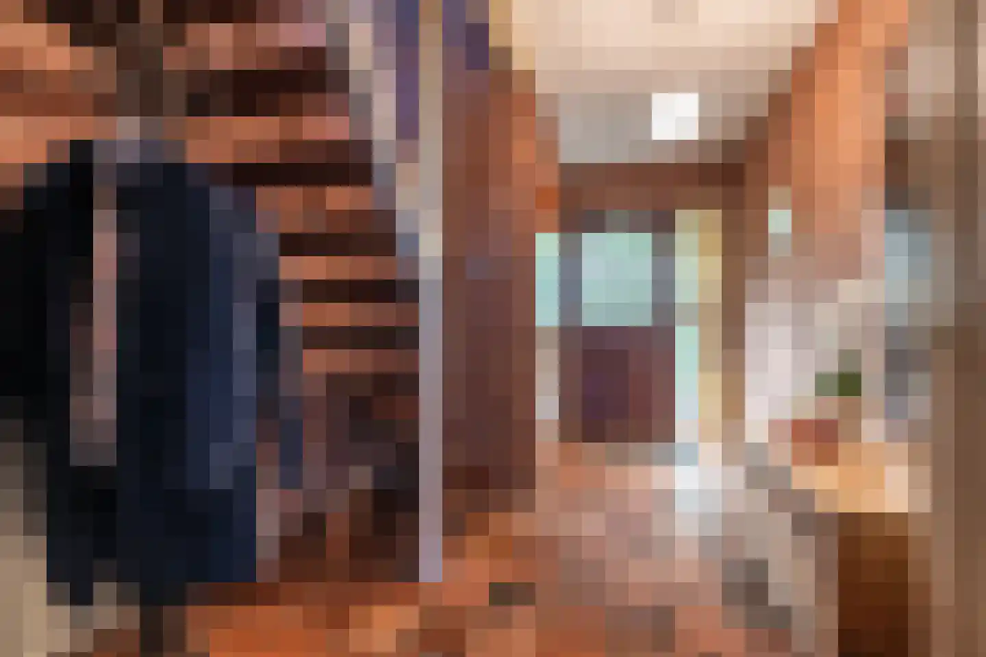 de Vosholen 53 Sappemeer thumbnail 14