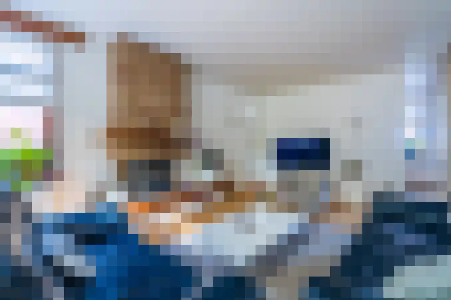 de Vosholen 53 Sappemeer thumbnail 21