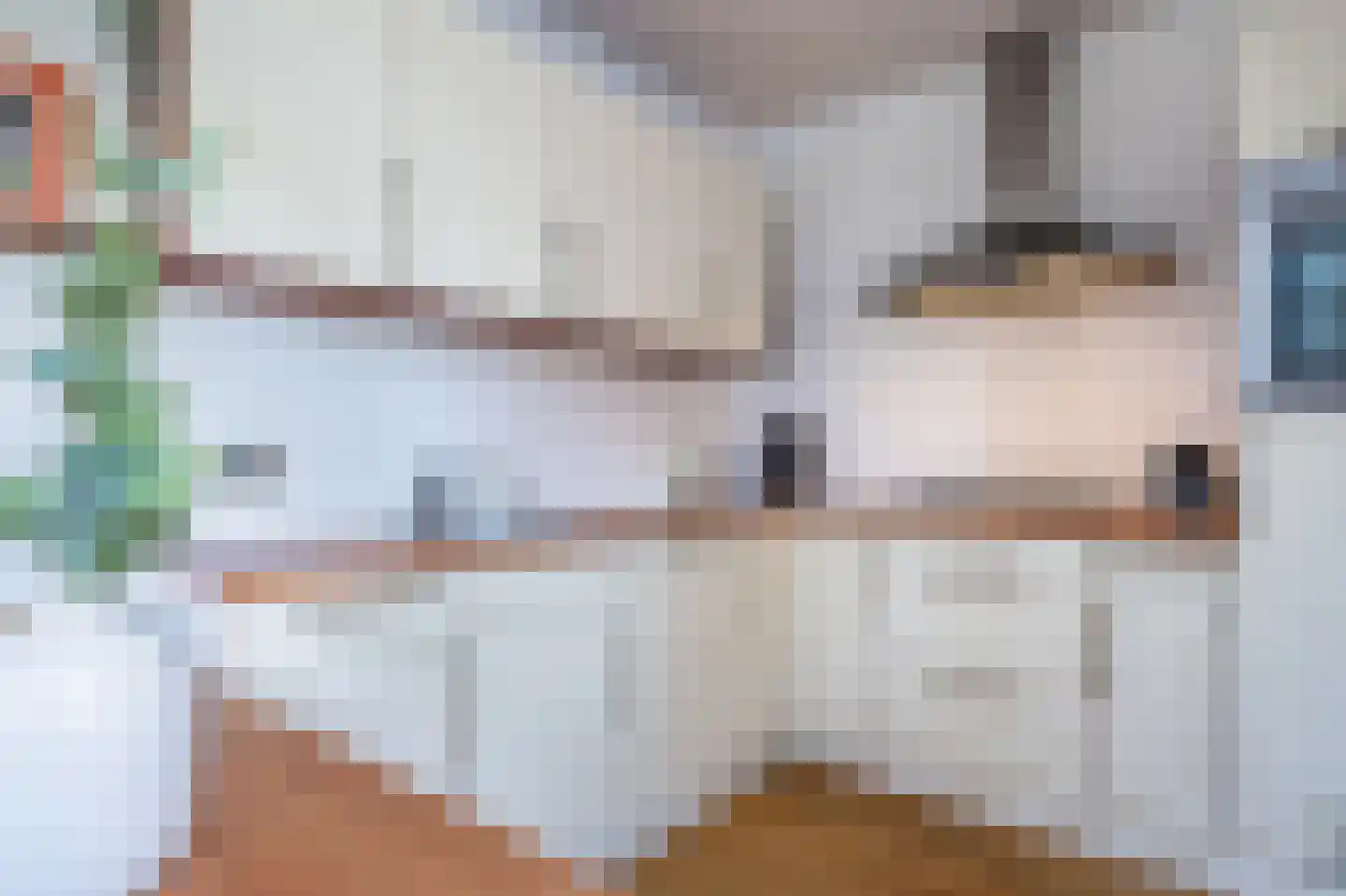 de Vosholen 53 Sappemeer thumbnail 27