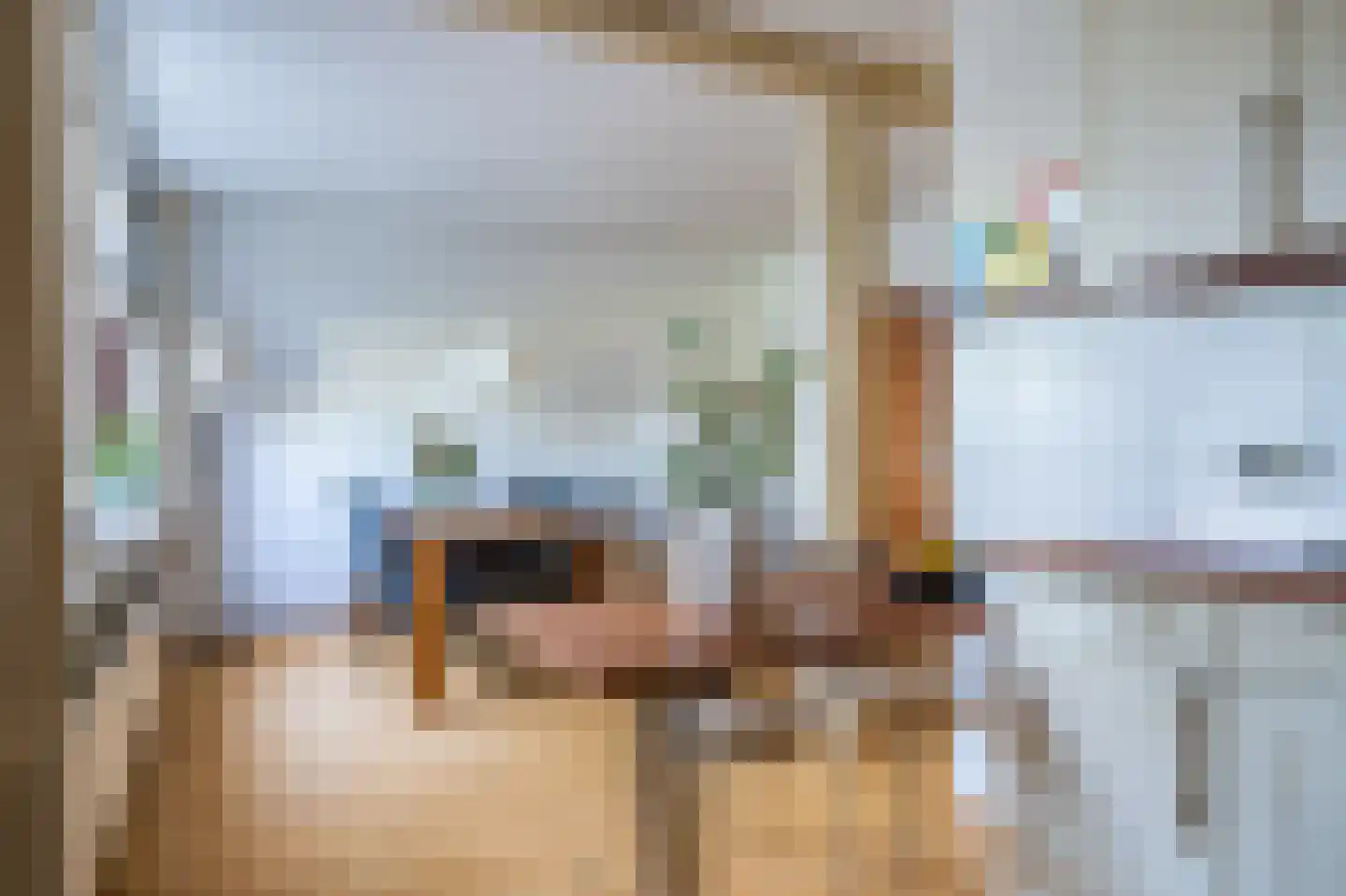 de Vosholen 53 Sappemeer thumbnail 29