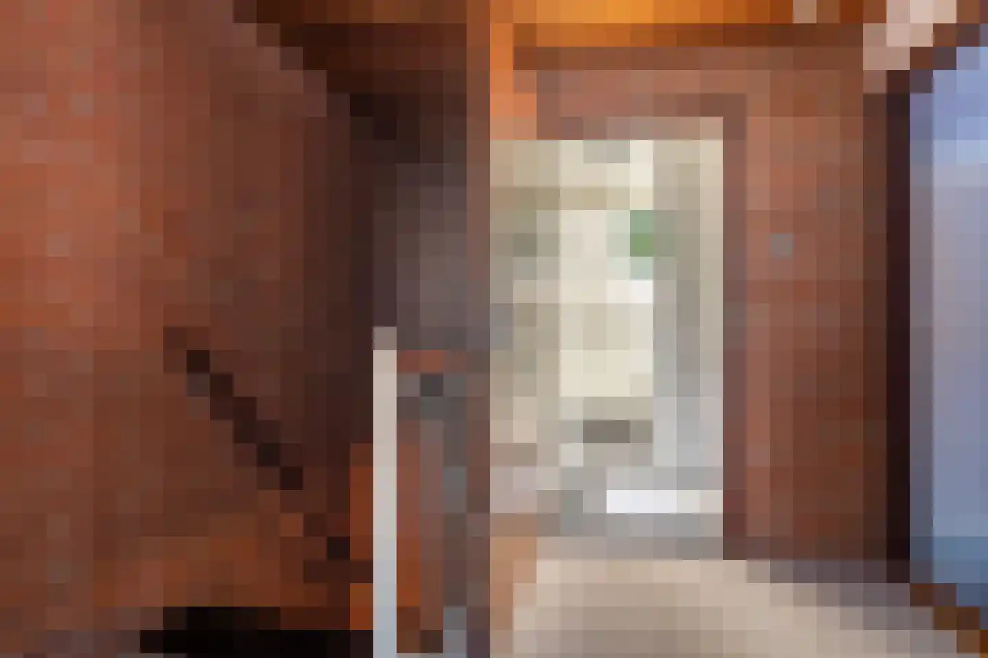 de Vosholen 53 Sappemeer thumbnail 36