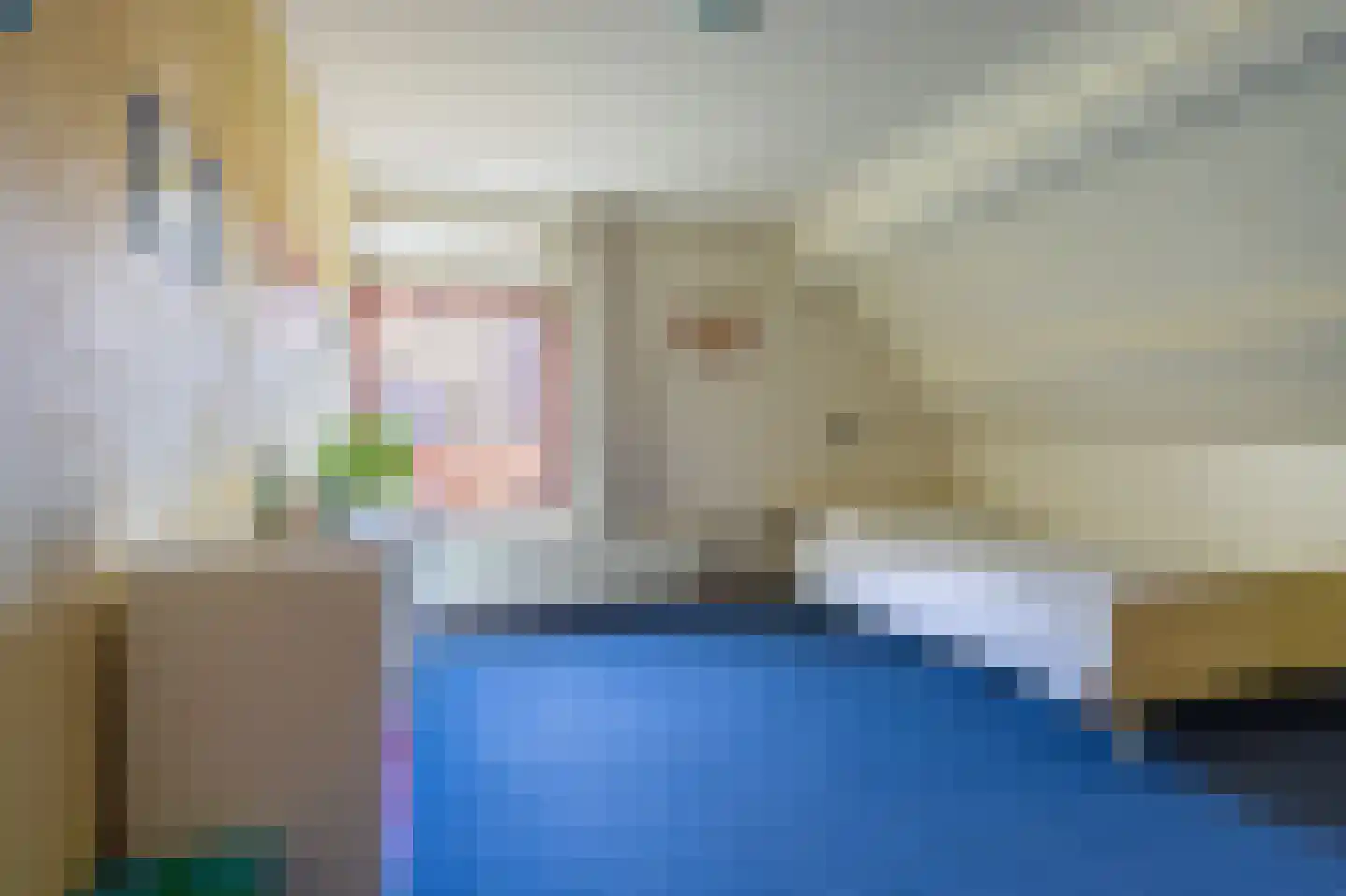 de Vosholen 53 Sappemeer thumbnail 38