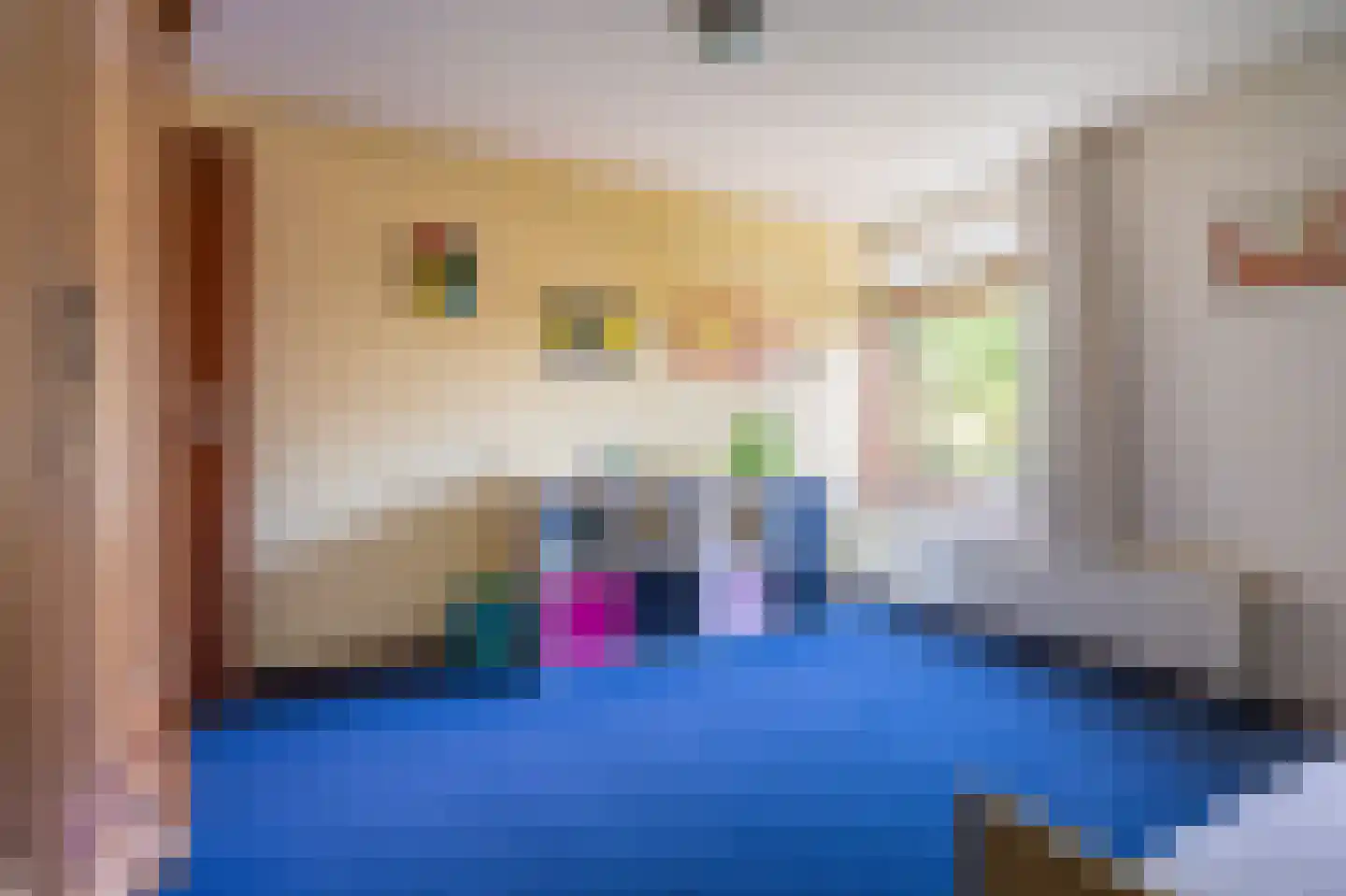 de Vosholen 53 Sappemeer thumbnail 39