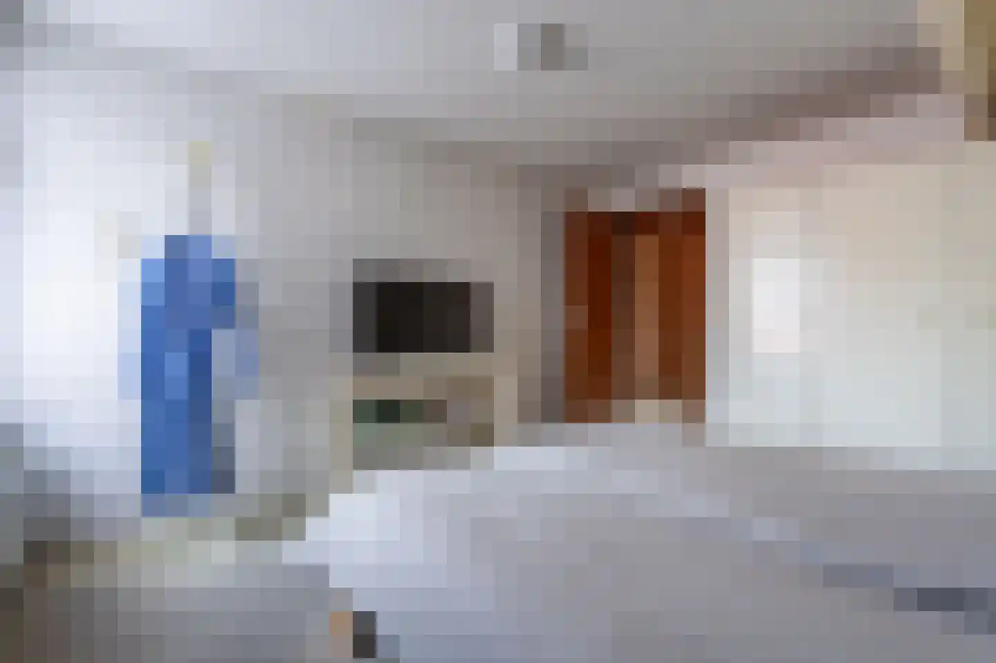 de Vosholen 53 Sappemeer thumbnail 42