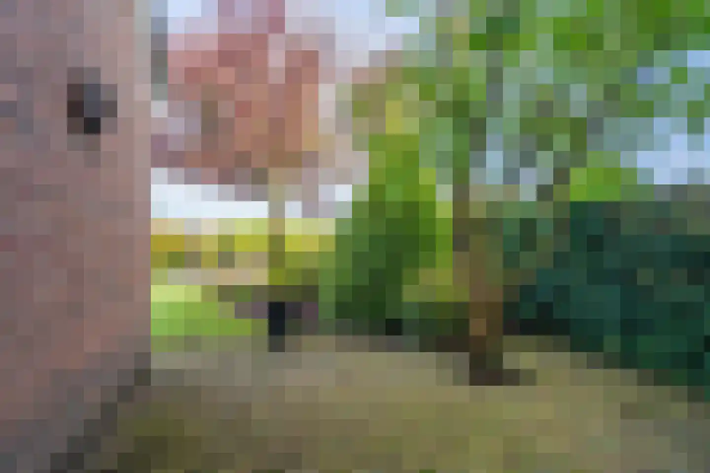 de Vosholen 53 Sappemeer thumbnail 47