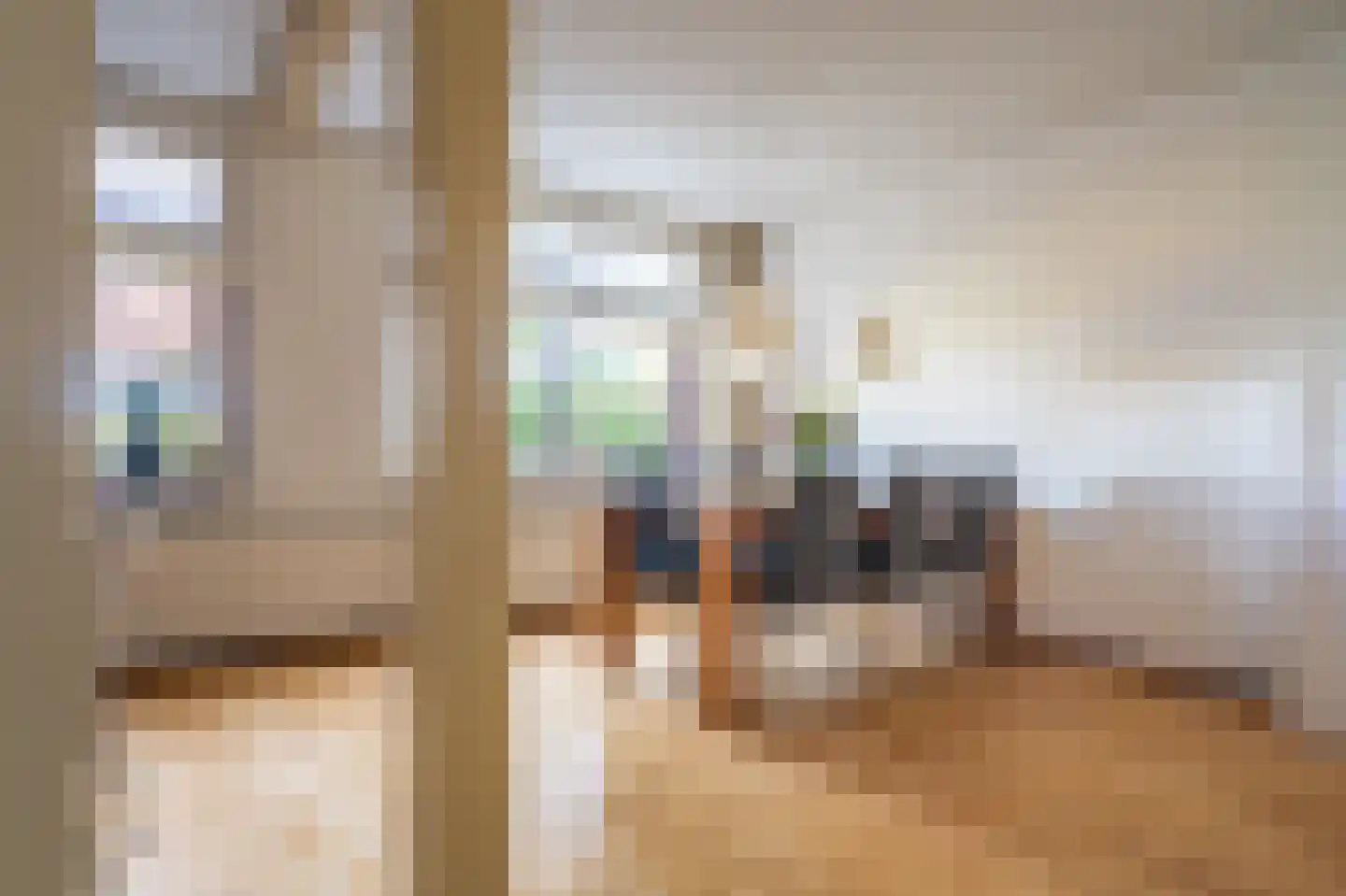 de Vosholen 53 Sappemeer thumbnail 5