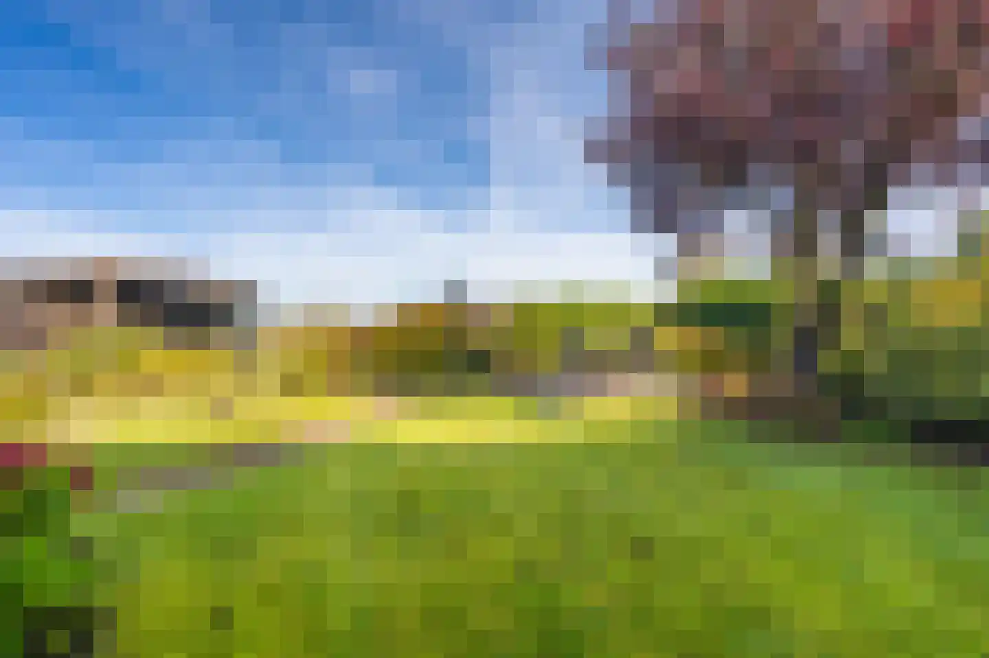 de Vosholen 53 Sappemeer thumbnail 50