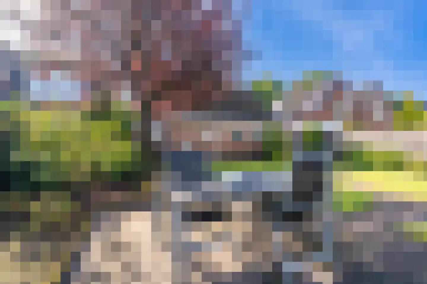 de Vosholen 53 Sappemeer thumbnail 55