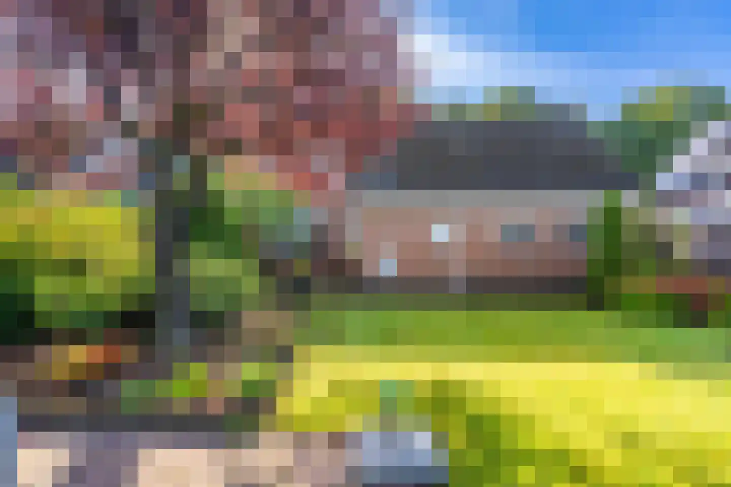 de Vosholen 53 Sappemeer thumbnail 56