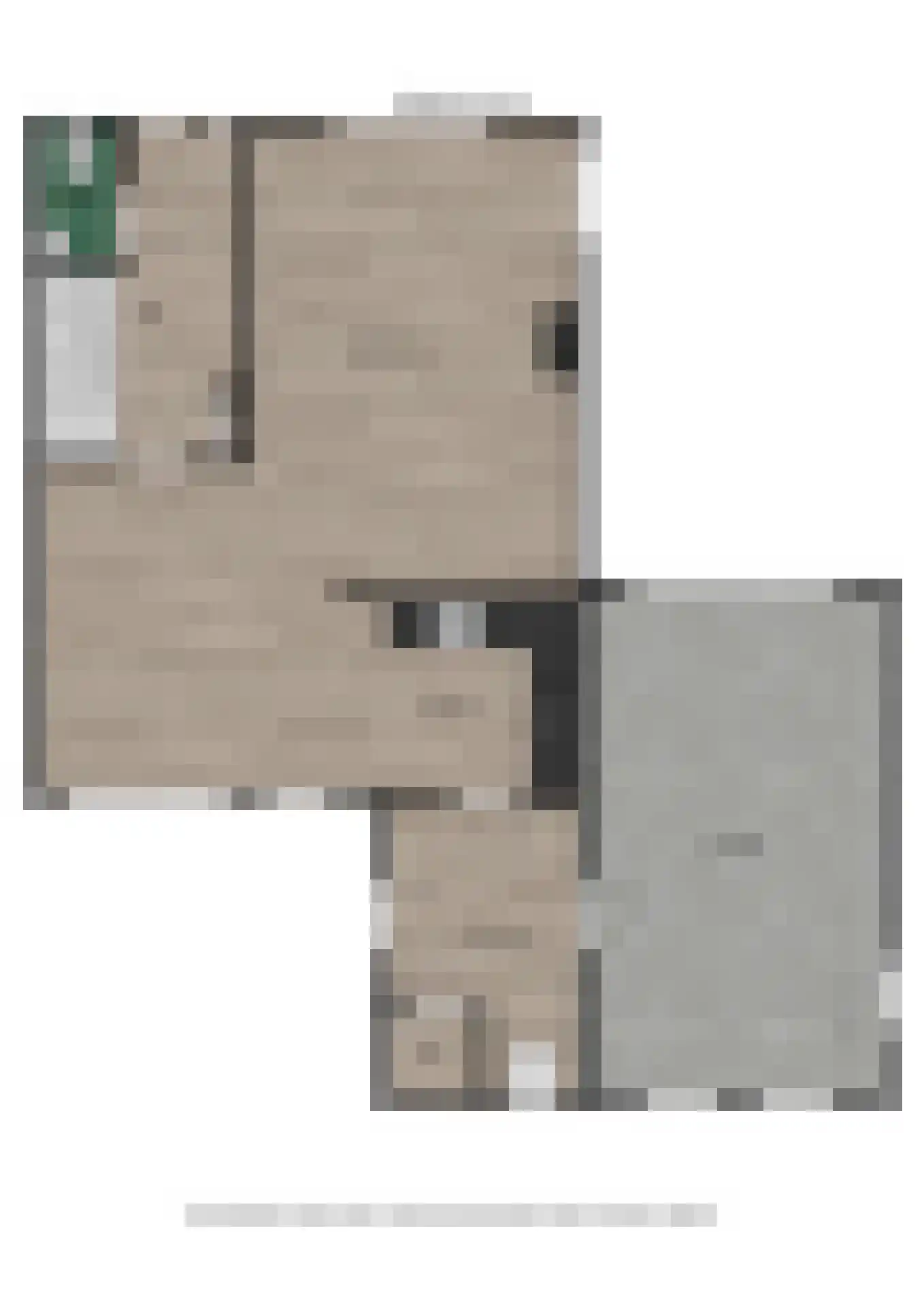 de Vosholen 53 Sappemeer thumbnail 63