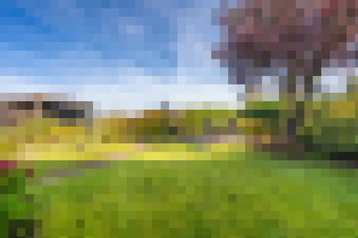 de Vosholen 53 Sappemeer thumbnail 8