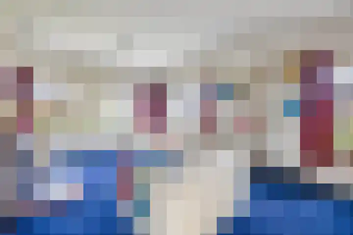 de Vosholen 58 Sappemeer thumbnail 13