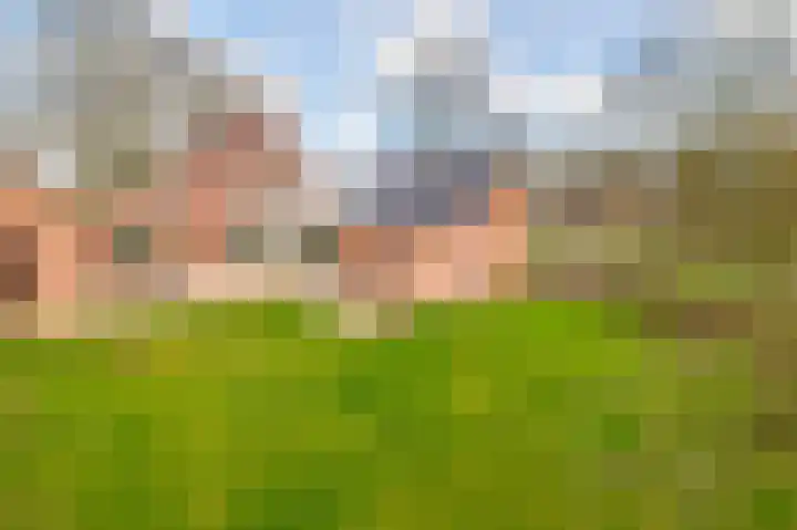 de Vosholen 58 Sappemeer thumbnail 25