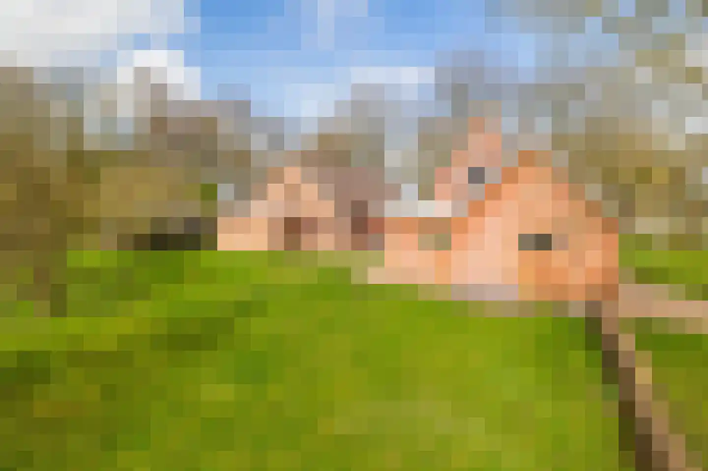de Vosholen 58 Sappemeer thumbnail 26