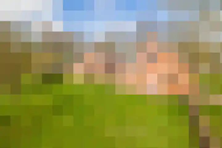 de Vosholen 58 Sappemeer thumbnail 26