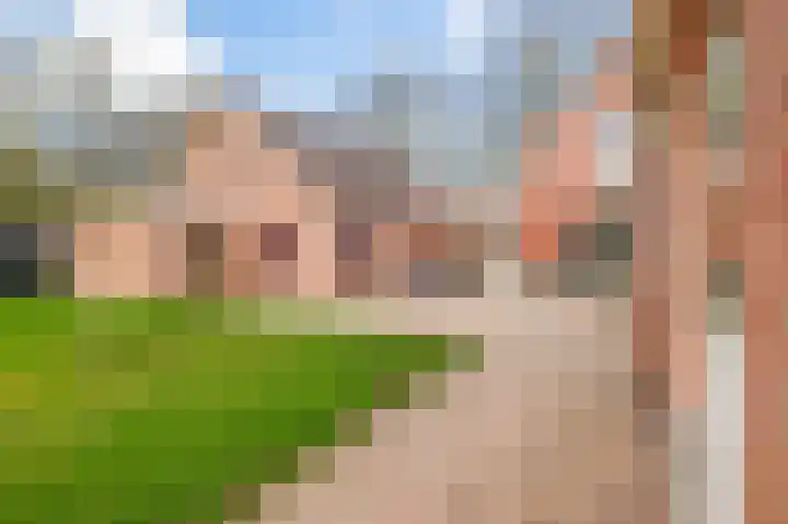 de Vosholen 58 Sappemeer thumbnail 27