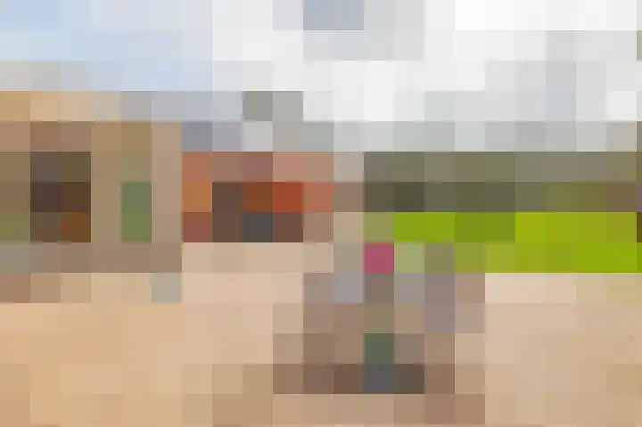 de Vosholen 58 Sappemeer thumbnail 28