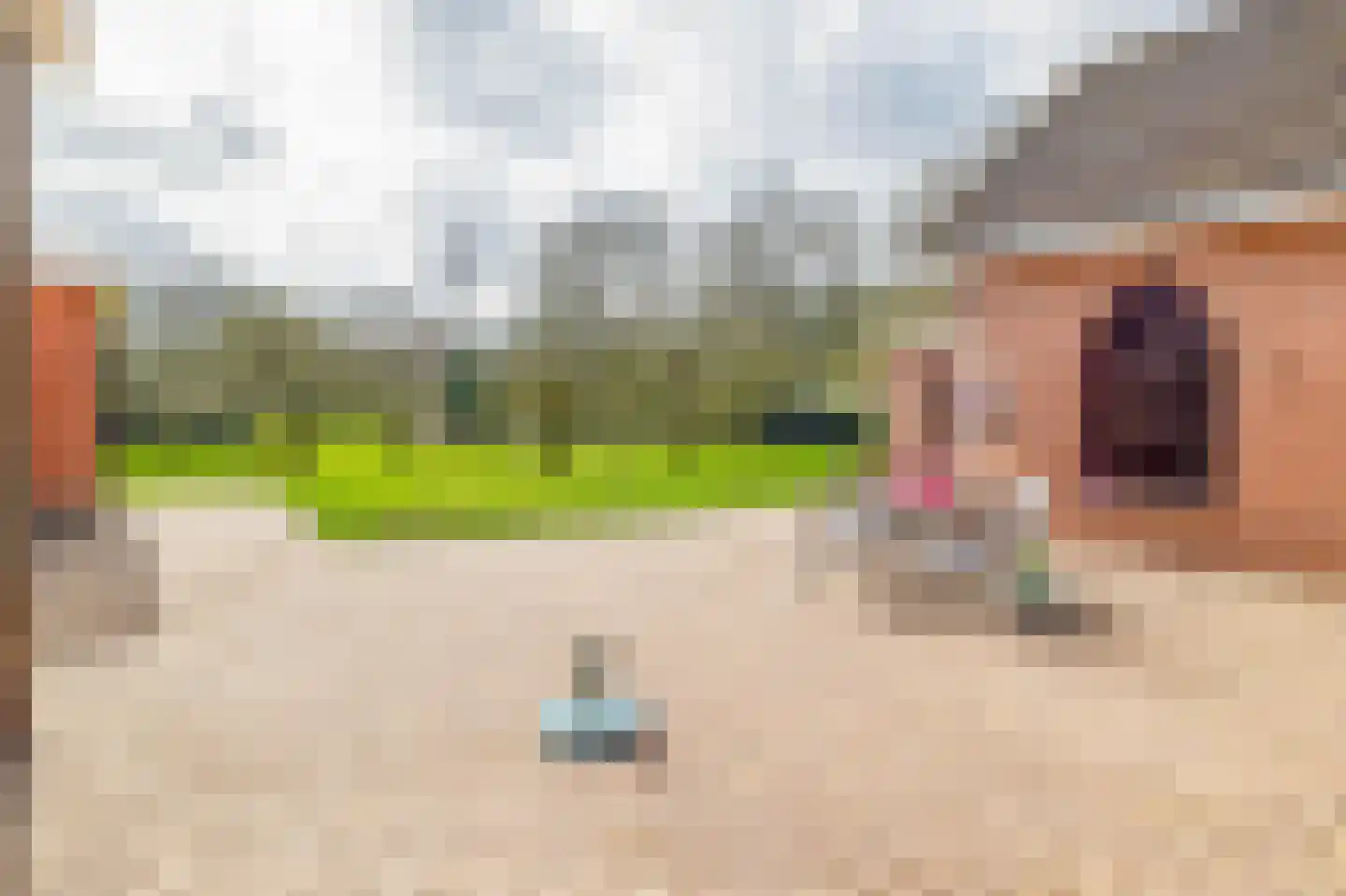 de Vosholen 58 Sappemeer thumbnail 29