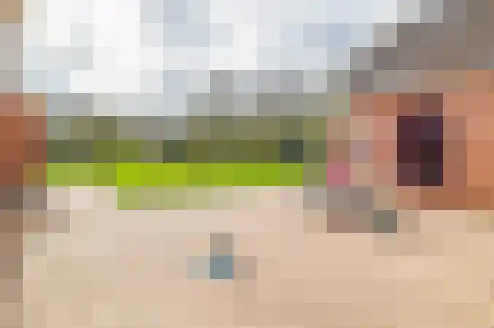 de Vosholen 58 Sappemeer thumbnail 29
