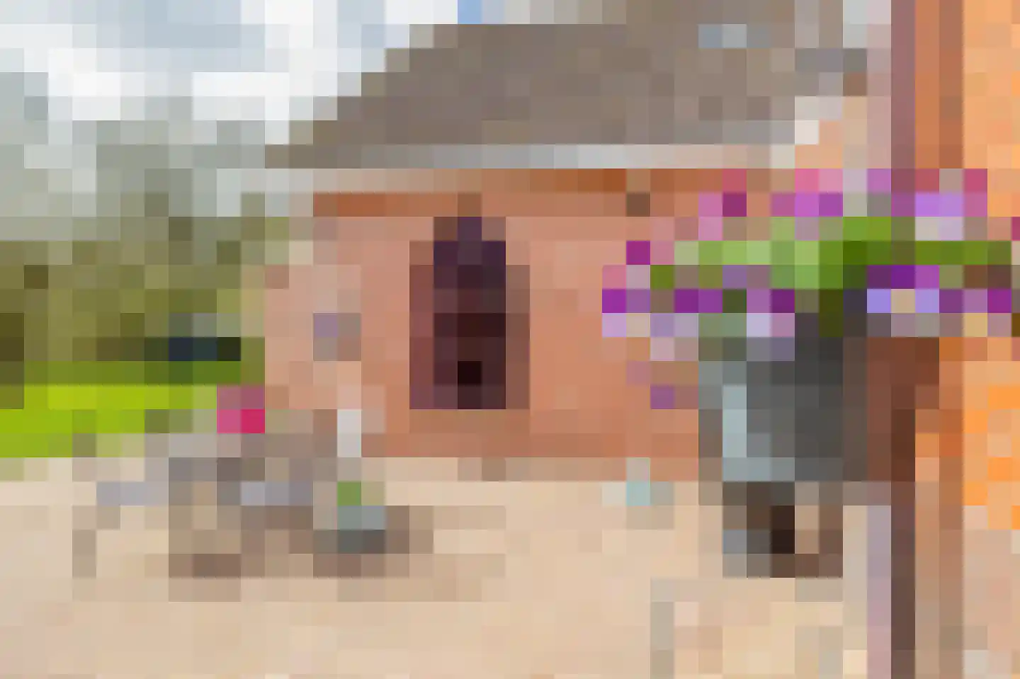 de Vosholen 58 Sappemeer thumbnail 30