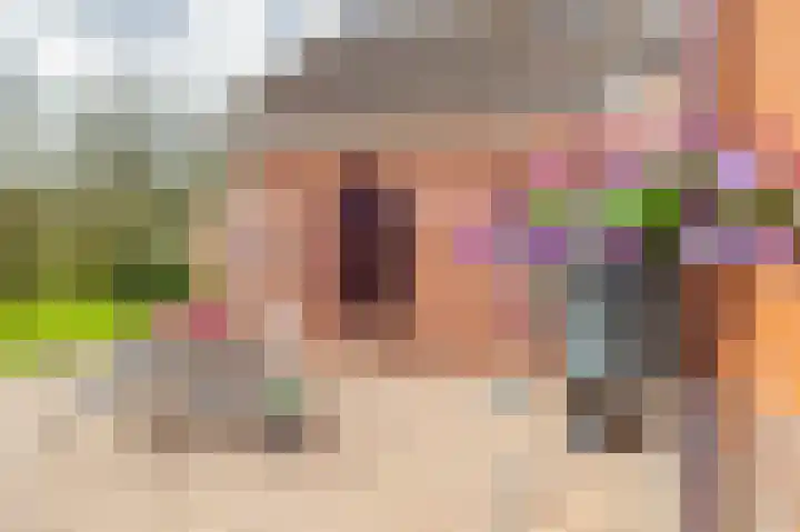 de Vosholen 58 Sappemeer thumbnail 30