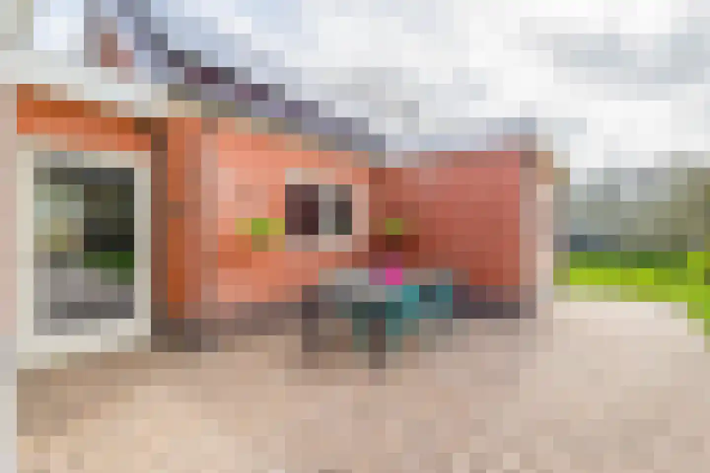 de Vosholen 58 Sappemeer thumbnail 31
