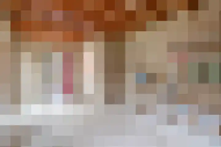 de Vosholen 58 Sappemeer thumbnail 32