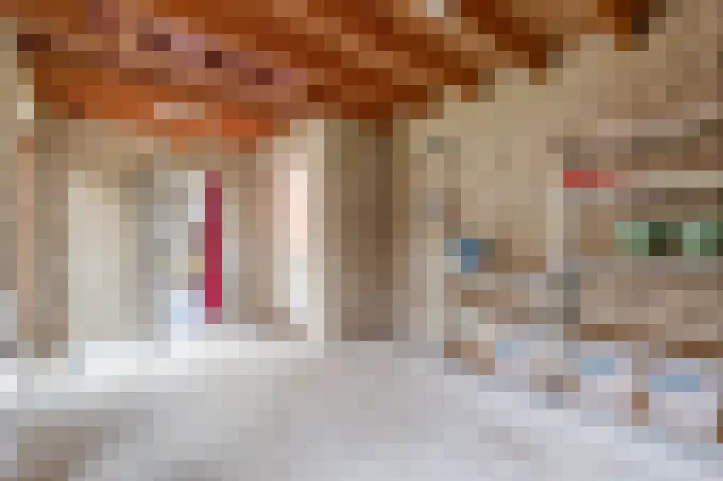de Vosholen 58 Sappemeer thumbnail 32
