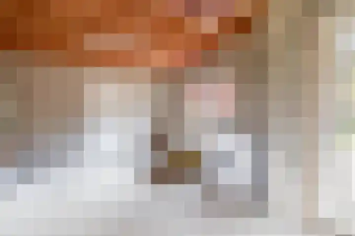 de Vosholen 58 Sappemeer thumbnail 33