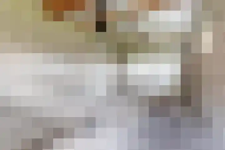 de Vosholen 58 Sappemeer thumbnail 34