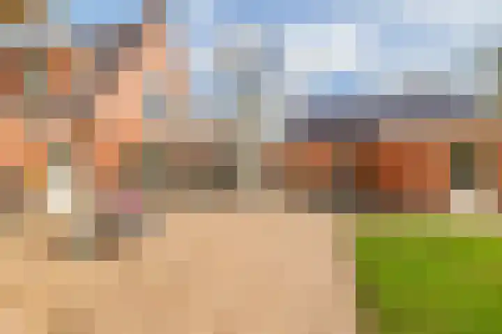 de Vosholen 58 Sappemeer thumbnail 4