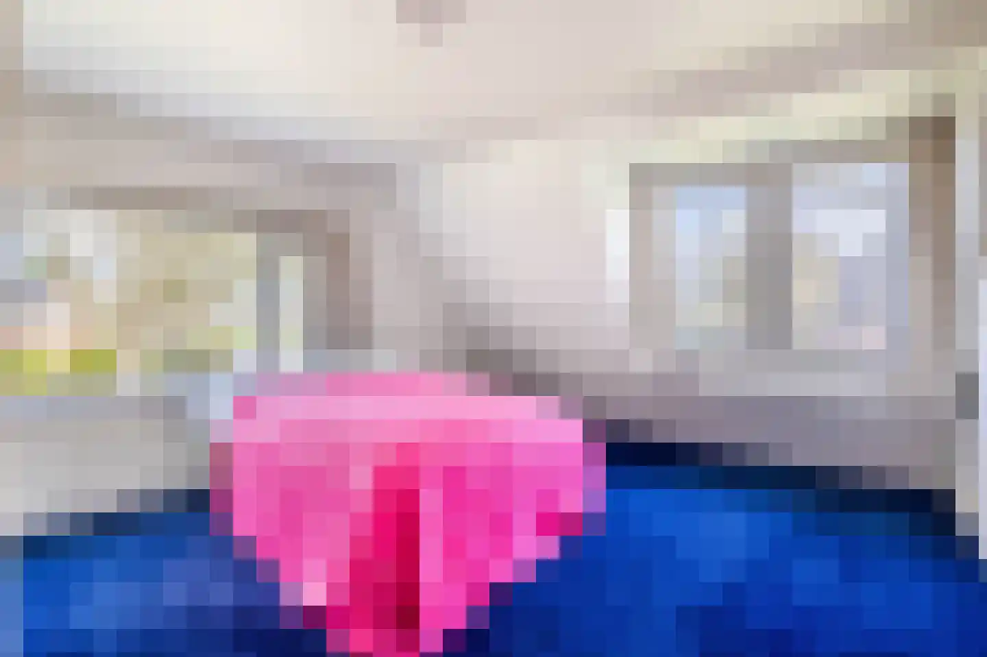 de Vosholen 58 Sappemeer thumbnail 43