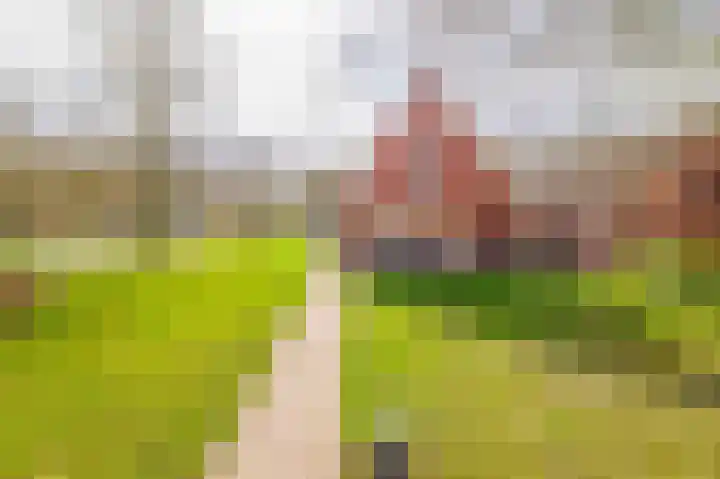 de Vosholen 58 Sappemeer thumbnail 56