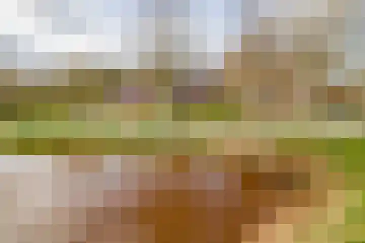 de Vosholen 58 Sappemeer thumbnail 58