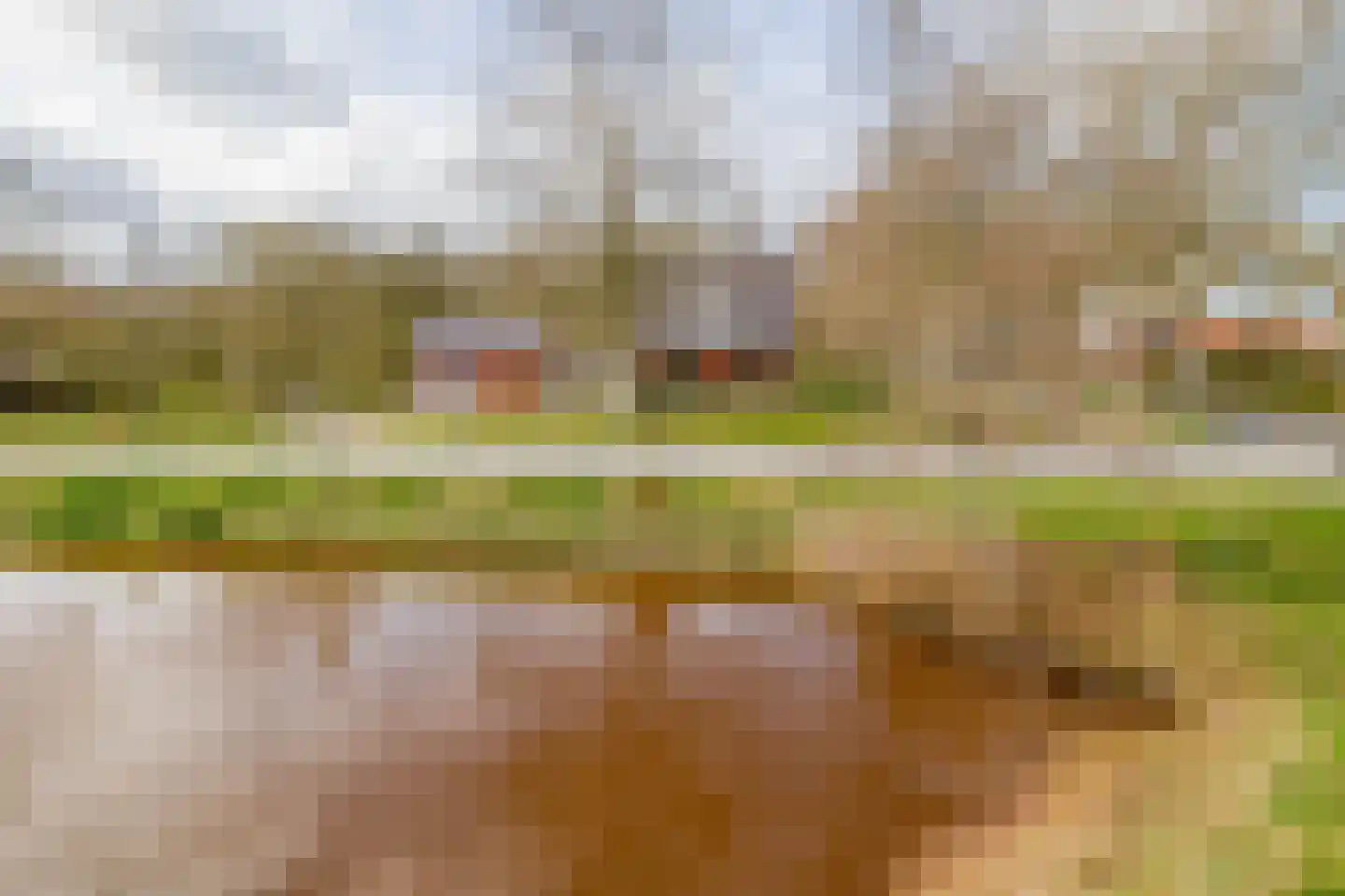 de Vosholen 58 Sappemeer thumbnail 58