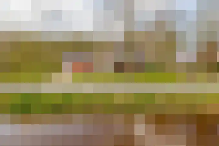 de Vosholen 58 Sappemeer thumbnail 59